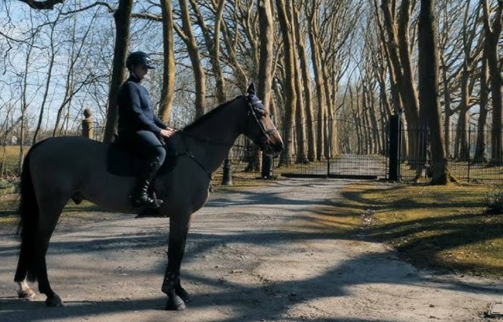 Château de Prelle, Manage, Belgium, Belgium